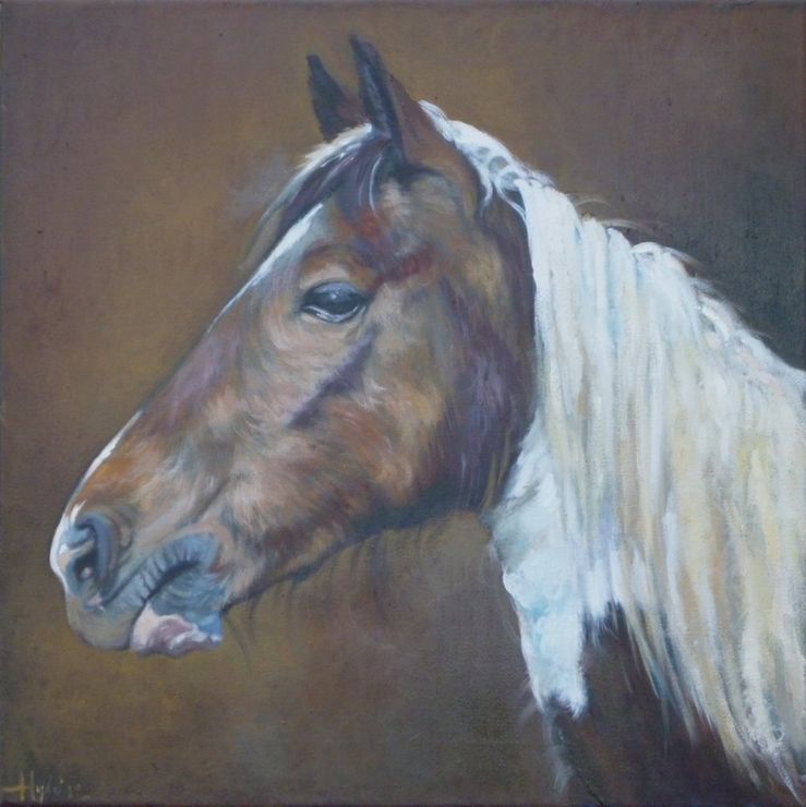 Horse - 1024 (6)